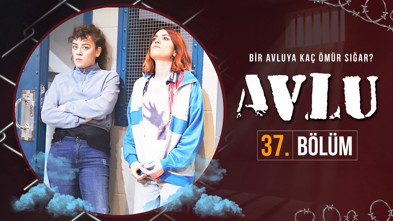 Avlu 37. B&ouml;l&uuml;m