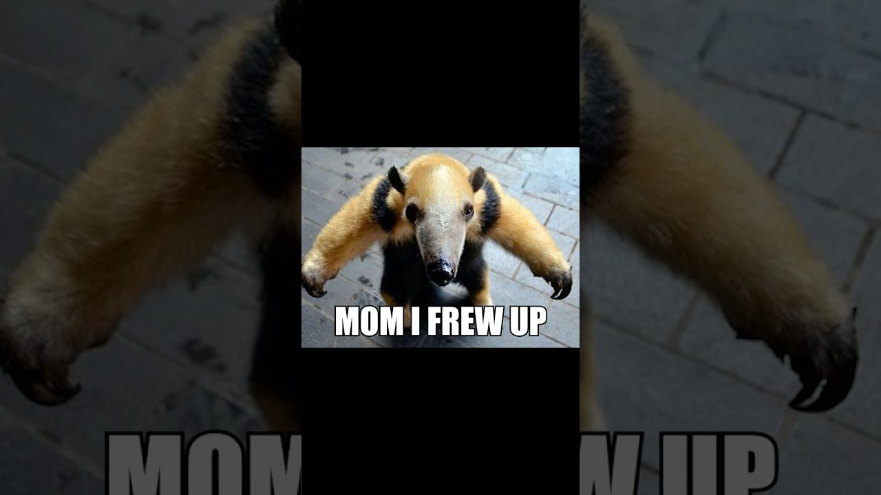 If you see this animal T-pose, RUN