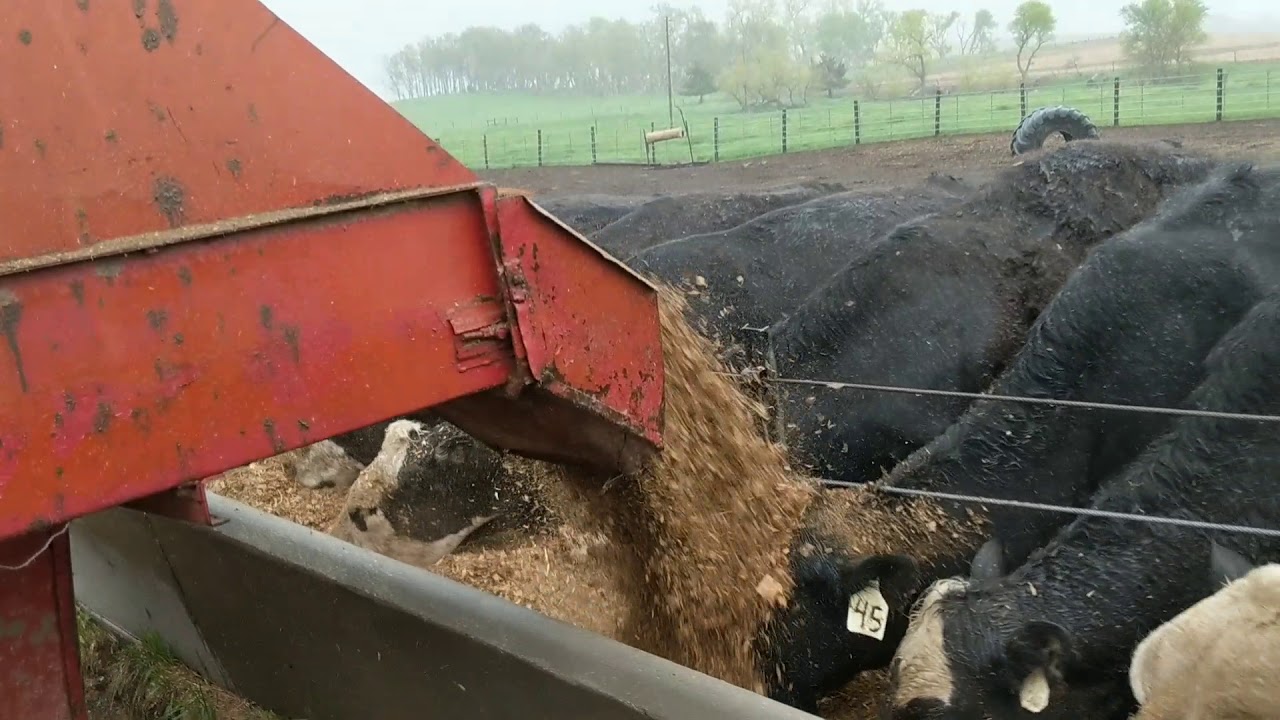 3010 dragging the feed wagon around in the rain