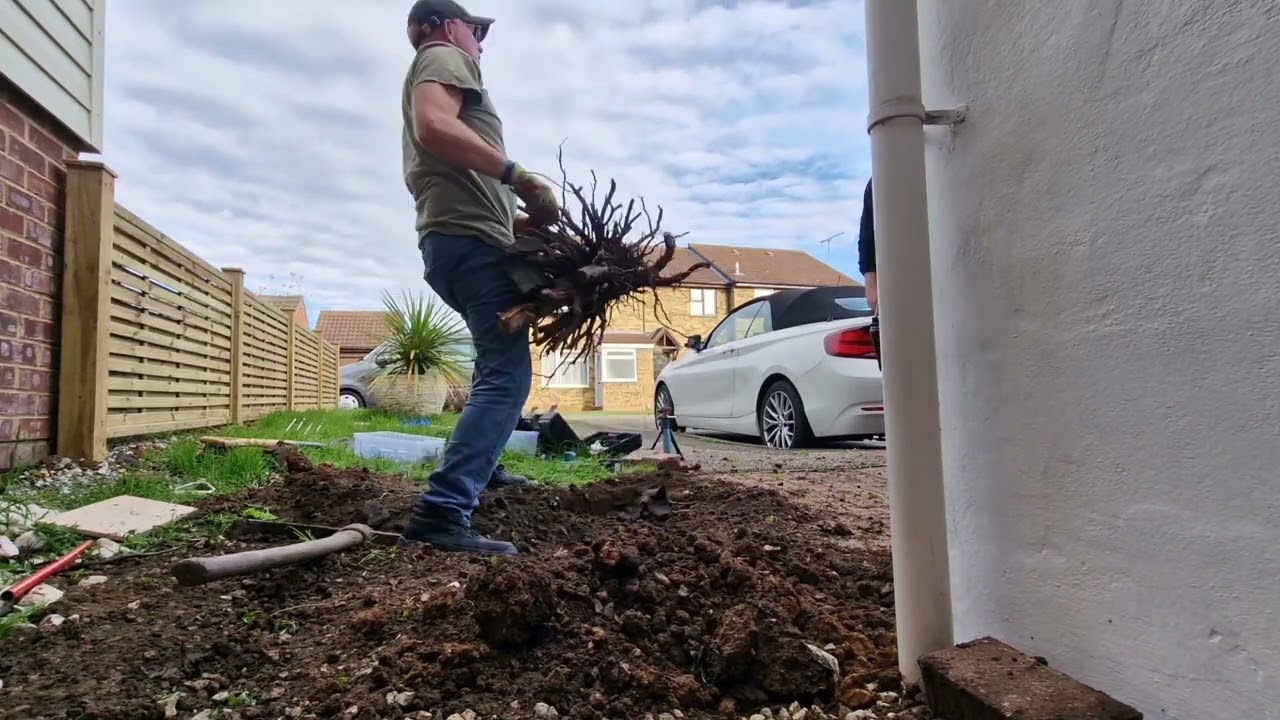 Car trolley jack to get Tree stump out,along with 2 others by Hand and mini chainsaw.