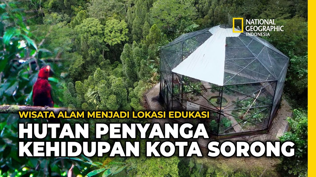 Endless Adventure!! Taman Wisata Alam Sorong.