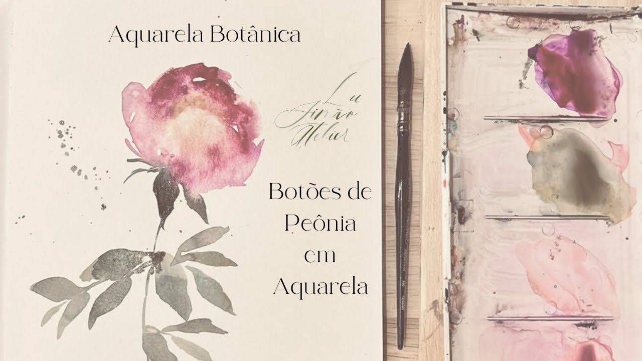 (Aquarela botânica) Botões de peônia em aquarela