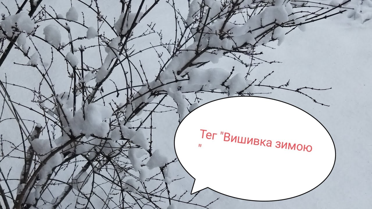 Тег " Вишивка зимою , Автор 