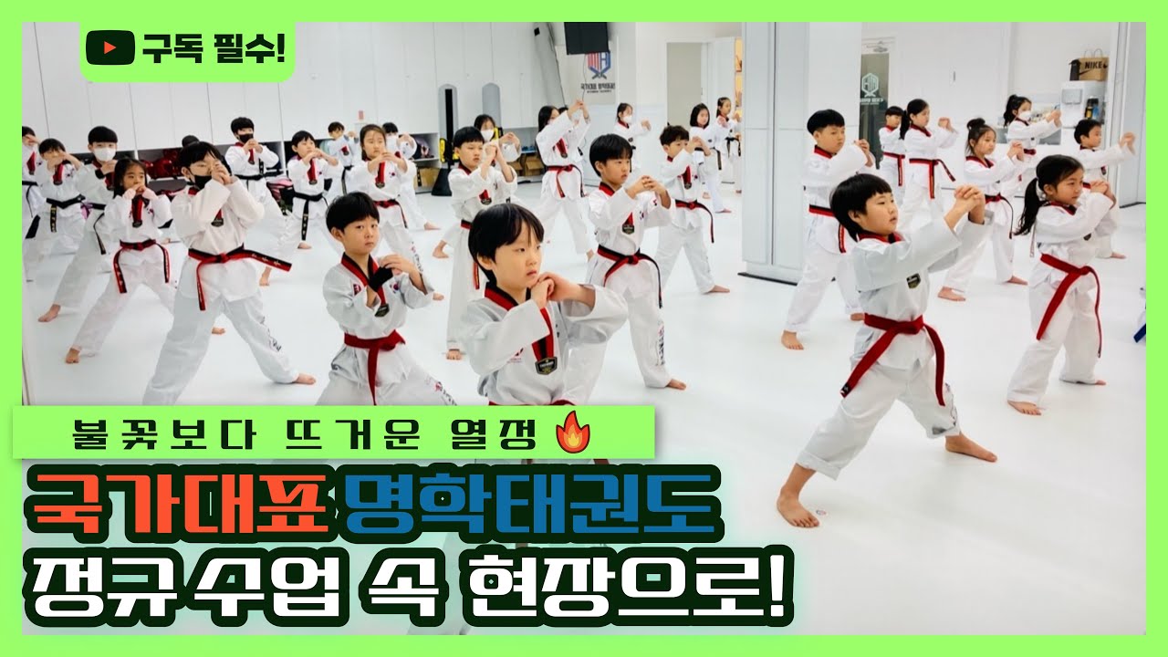 국가대표 명학태권도장 일반 수업시간에는 무엇을 배울까? #태권도 #태권도장 #국가대표명학태권도장 #태권도수업 #태권도사범님 #국명태