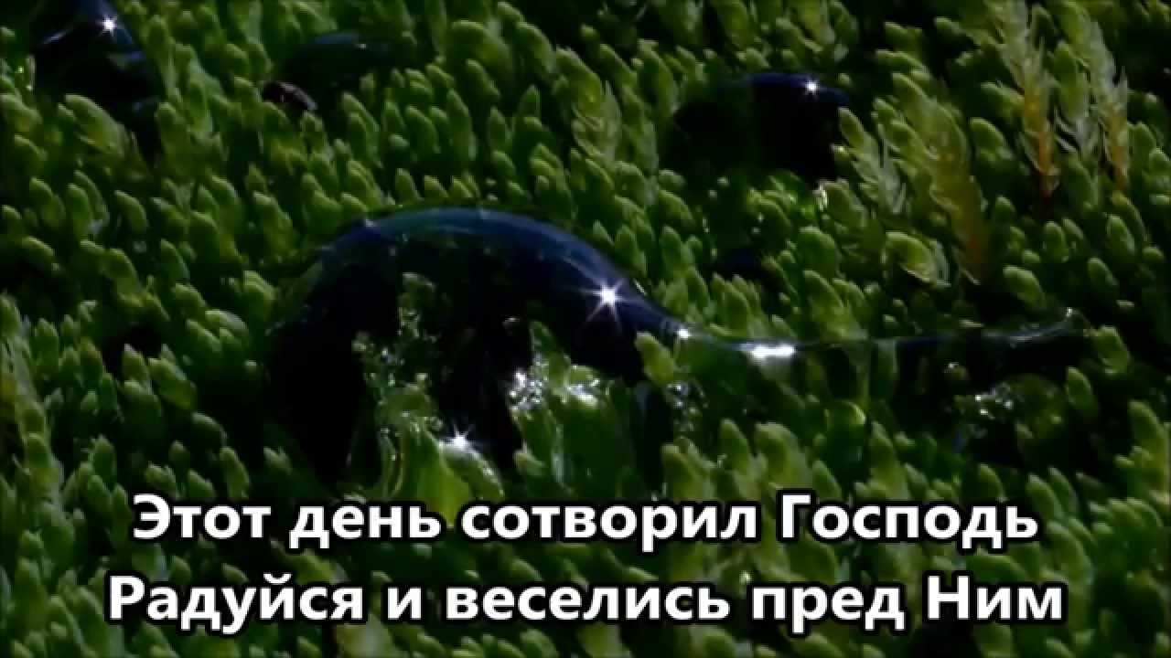 Этот день сотворил Господь (Христианская песня) Церковь 