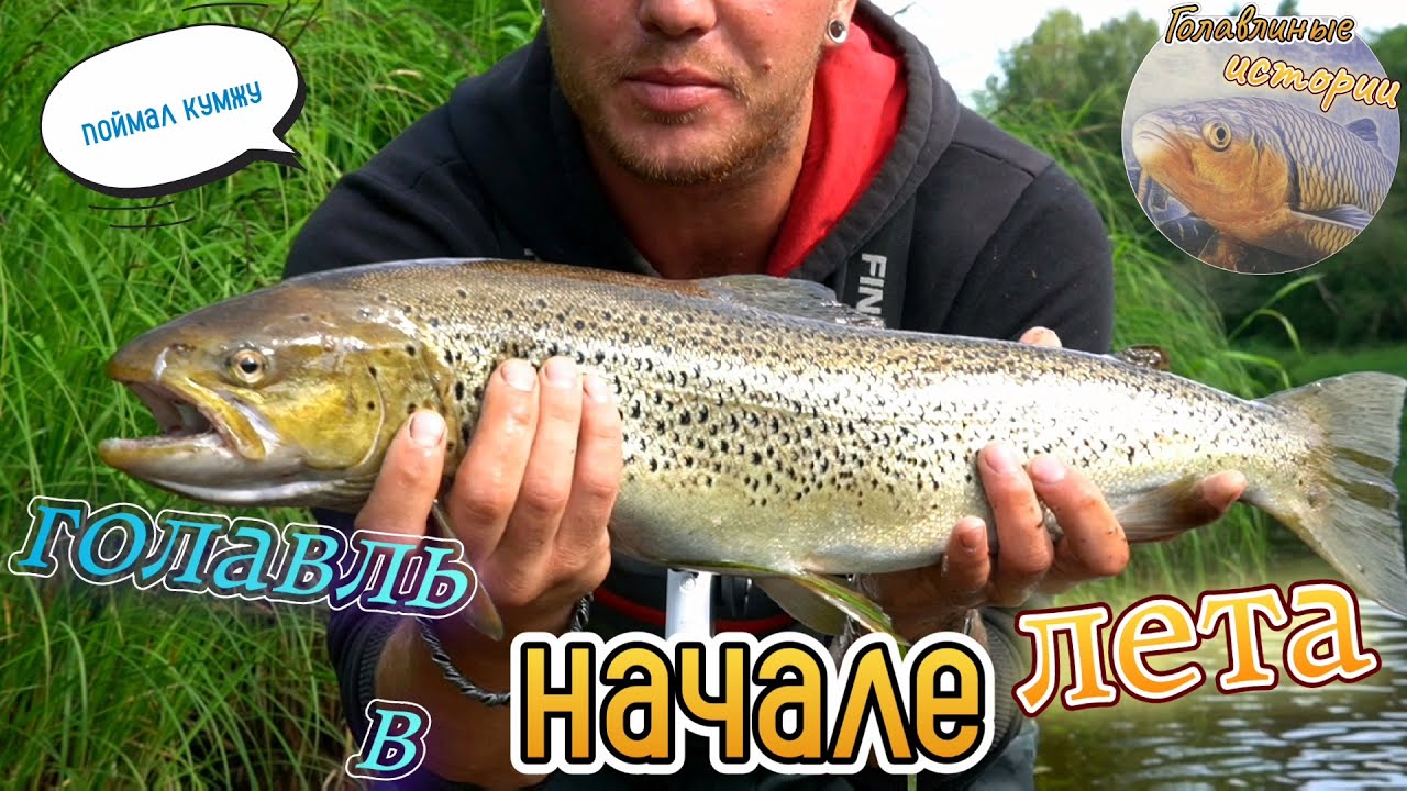 Вот так сюрприз! Кумжа на YO-ZURI L-MINNOW . Путешествие и рыбалка в Ленинградской области