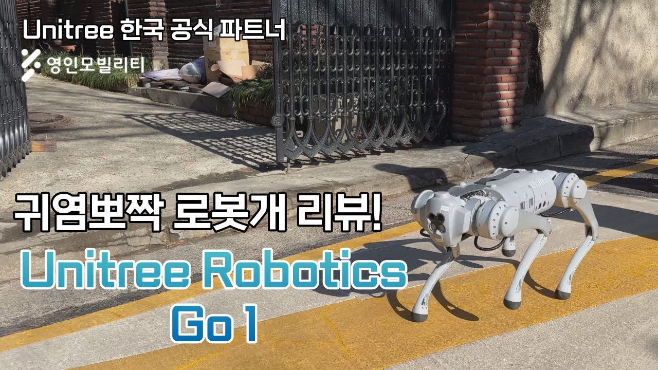 설날에 용돈 달라고 절하는 로봇개가 있다? | Unitree 한국 공식파트너 영인모빌리티 Go1 리뷰!