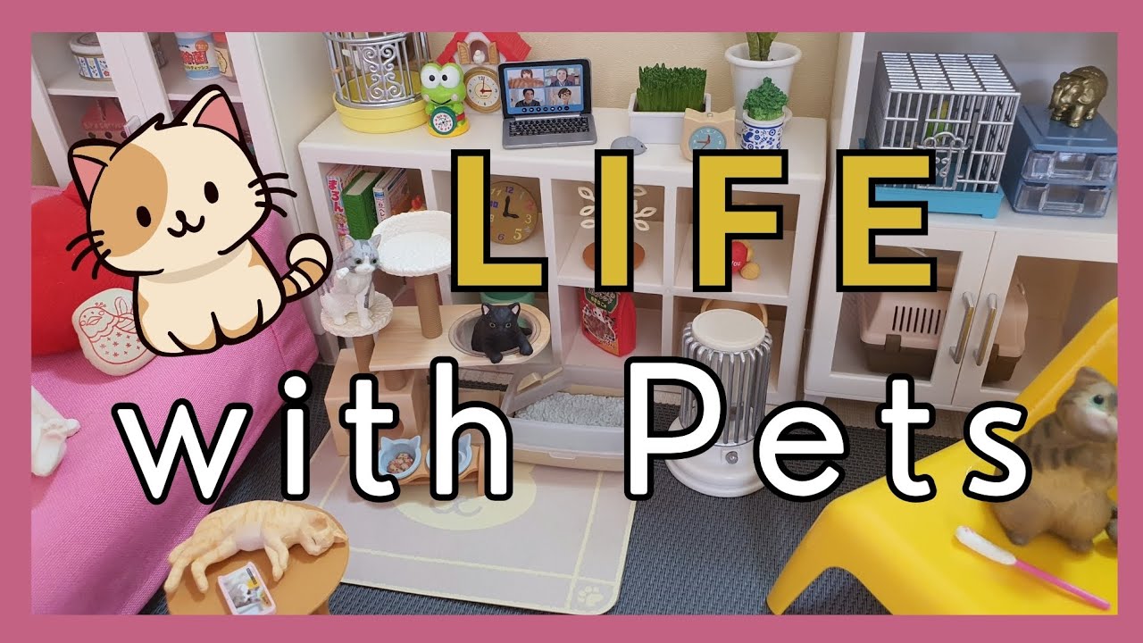 Re-ment Life with Pets | Tiny Toys | Miniature dollhouse  toys | Diorama/ Roombox