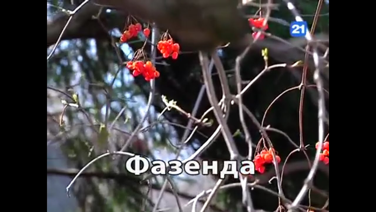 Системы полива * Sisteme de igirații