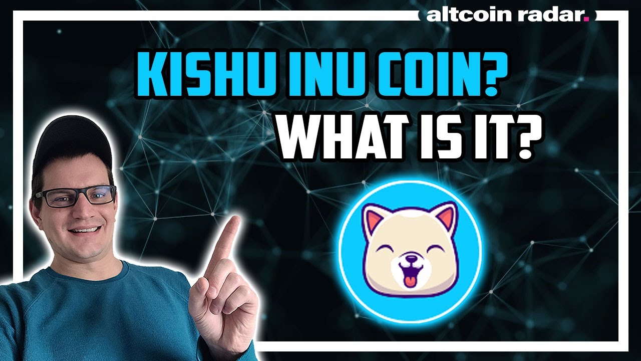Что такое Kishu Inu Coin? Kishu Inu Coin для абсолютных новичков.