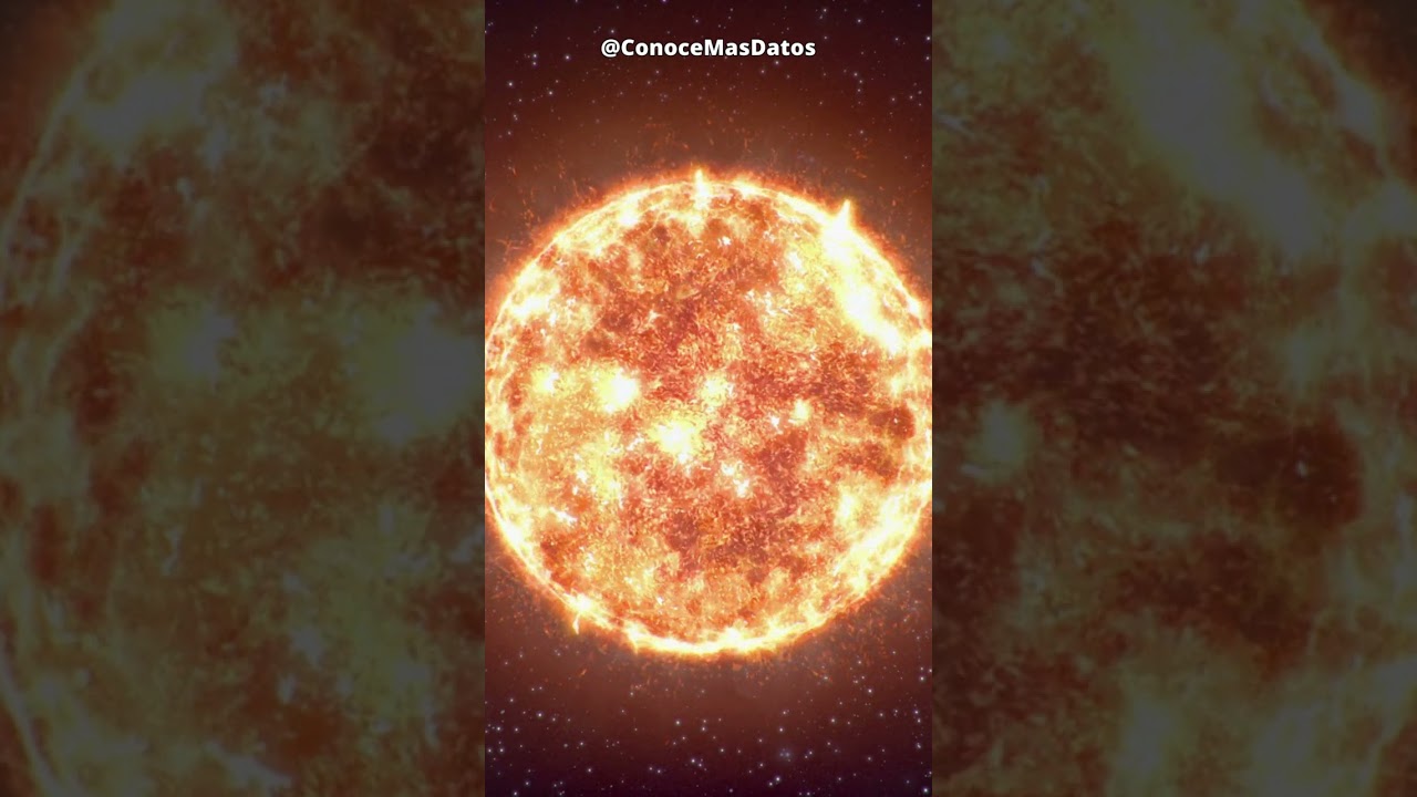 El sol es una estrella #shortvideo #shorts #sol #estrellas #viral #sabiasque #curiosidades #datos