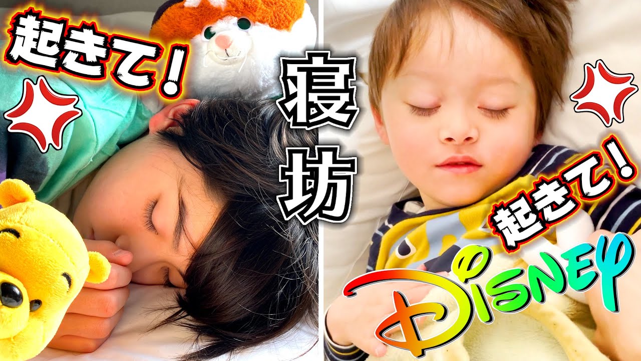 ディズニー チケット付きのホテルはどんな部屋？おやすみ…そしておはよう！ディズニーシーへ出発！寝坊した理由は…