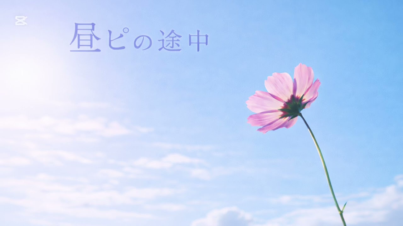 昼ピの途中/フーデリ応援ソング２