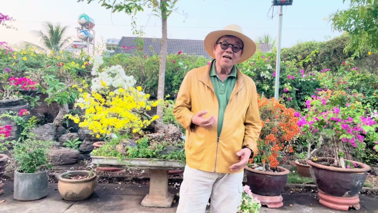 Cánh Thiệp Đầu Xuân. Ns: Minh Kỳ. Tb: Toro