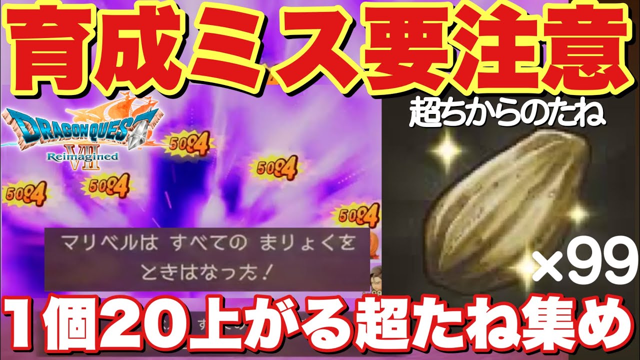 【ドラクエ7R】序盤からマリベル育成要注意！最高効率たね集め方法とふしぎなきのみの使用先について！