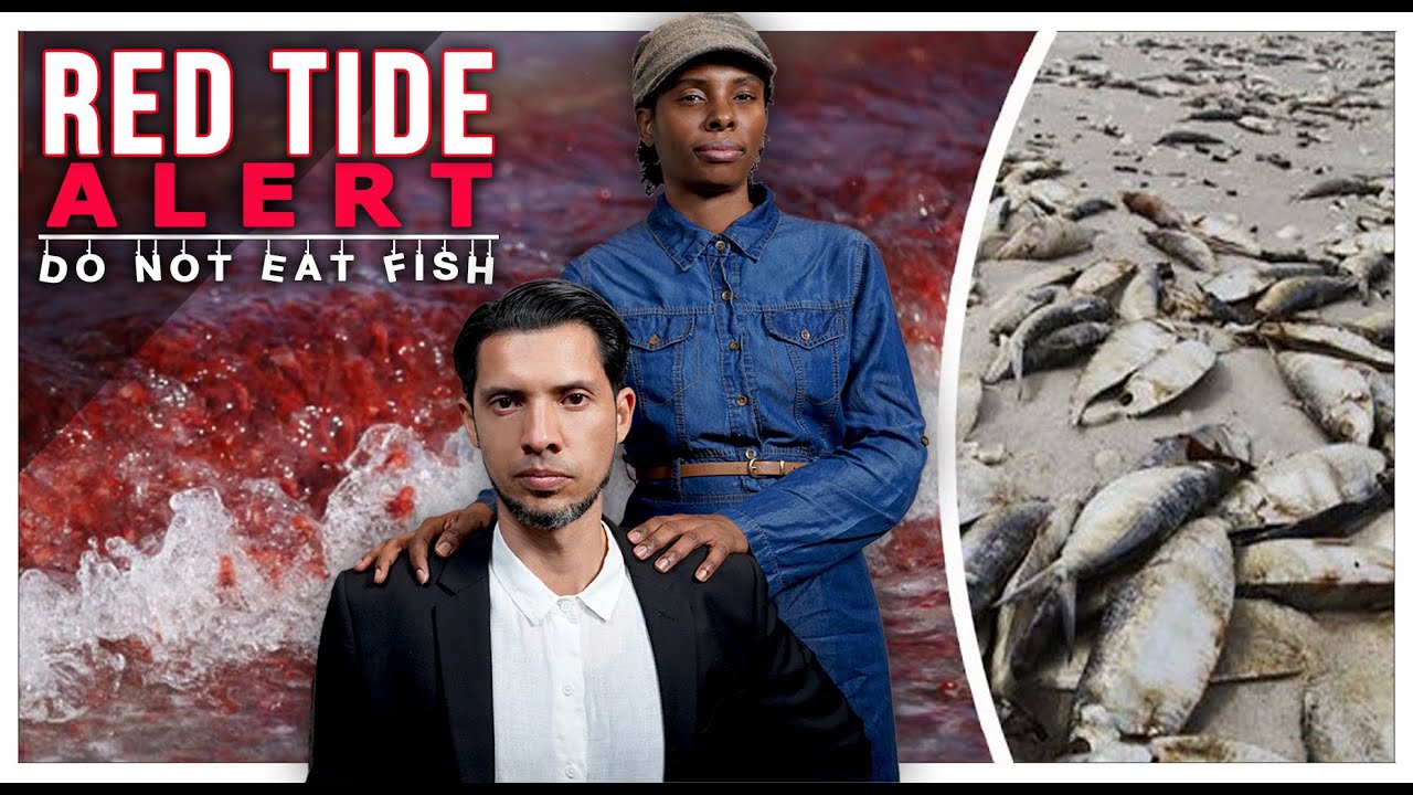 Prophecy Fulfilled | Red Tide Hits, Killing Thousands of Fish | Time To Make Better Choices for Food