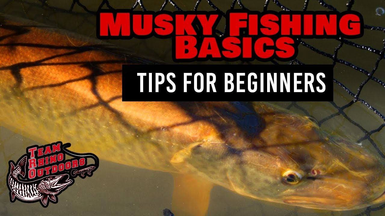 Musky Fishing Basics - Tips for Beginners