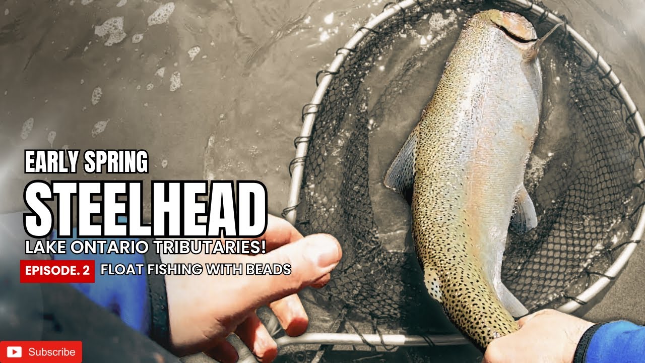 BIG STEELHEAD in Lake Ontario Tributaries!!! (Float Fishing!!)