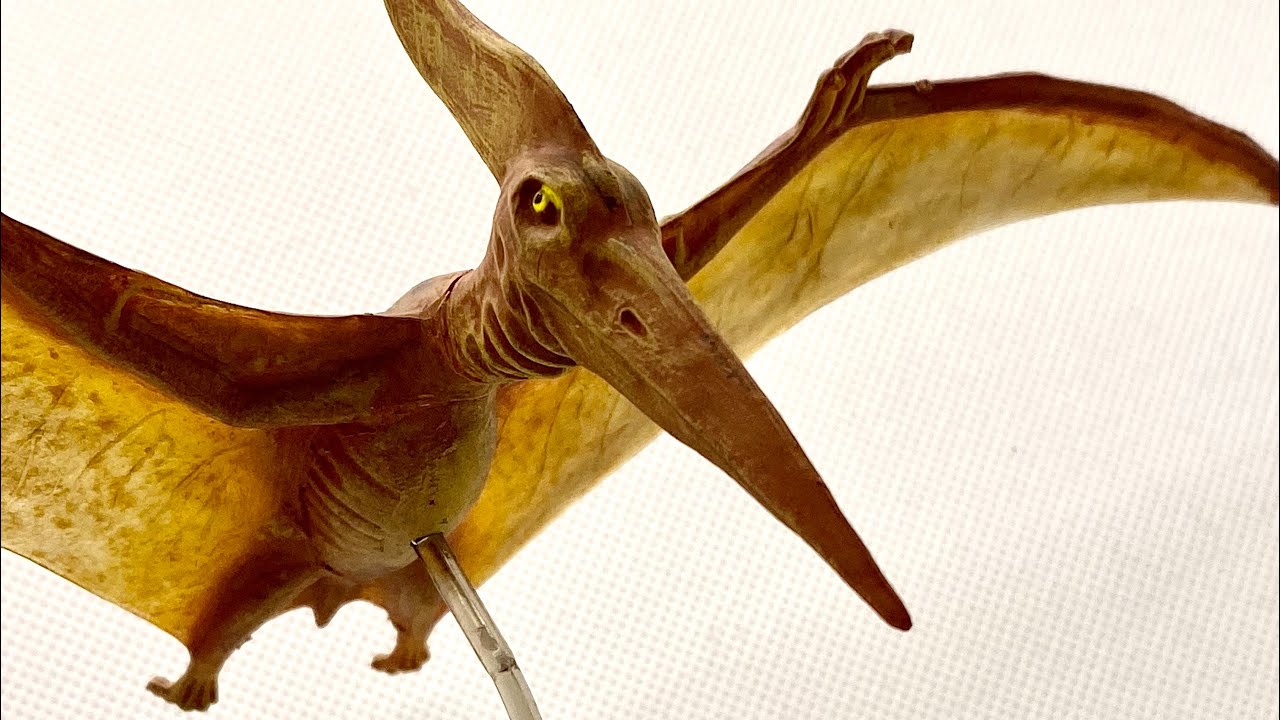 Pteranodon Model Kit from Tamiya