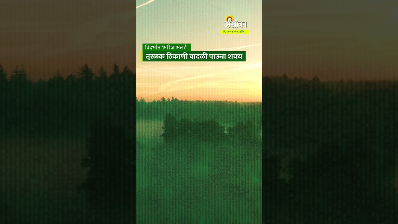 Maharashtra Weather : विदर्भात 'ऑरेंज अलर्ट', तुरळक ठिकाणी वादळी पाऊस शक्य | Agrowon