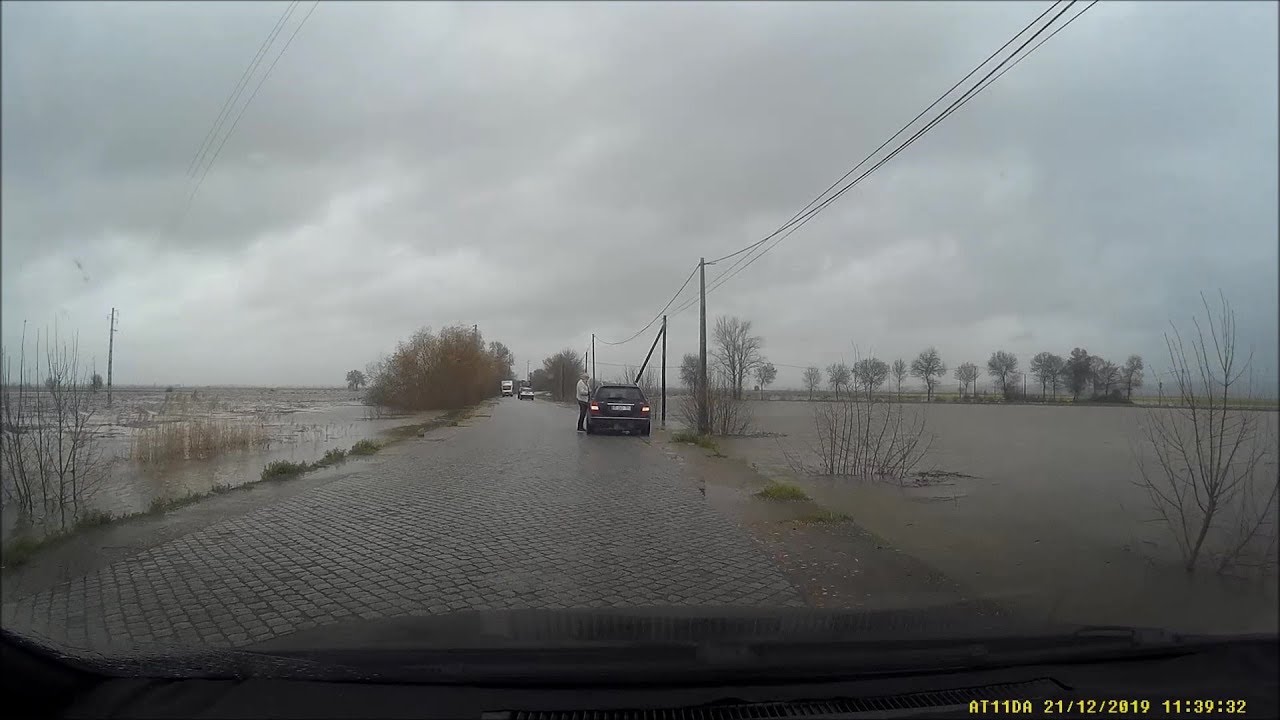 Rescaldo da Depressão Elsa no Ribatejo | Storm Elsa, the aftermath (Ribatejo region)