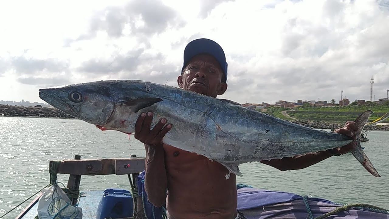 CAVALA GIGANTE FISGADA EM ALTO MAR 64 KM DA COSTA🐟🐟🐟🐟🐟
