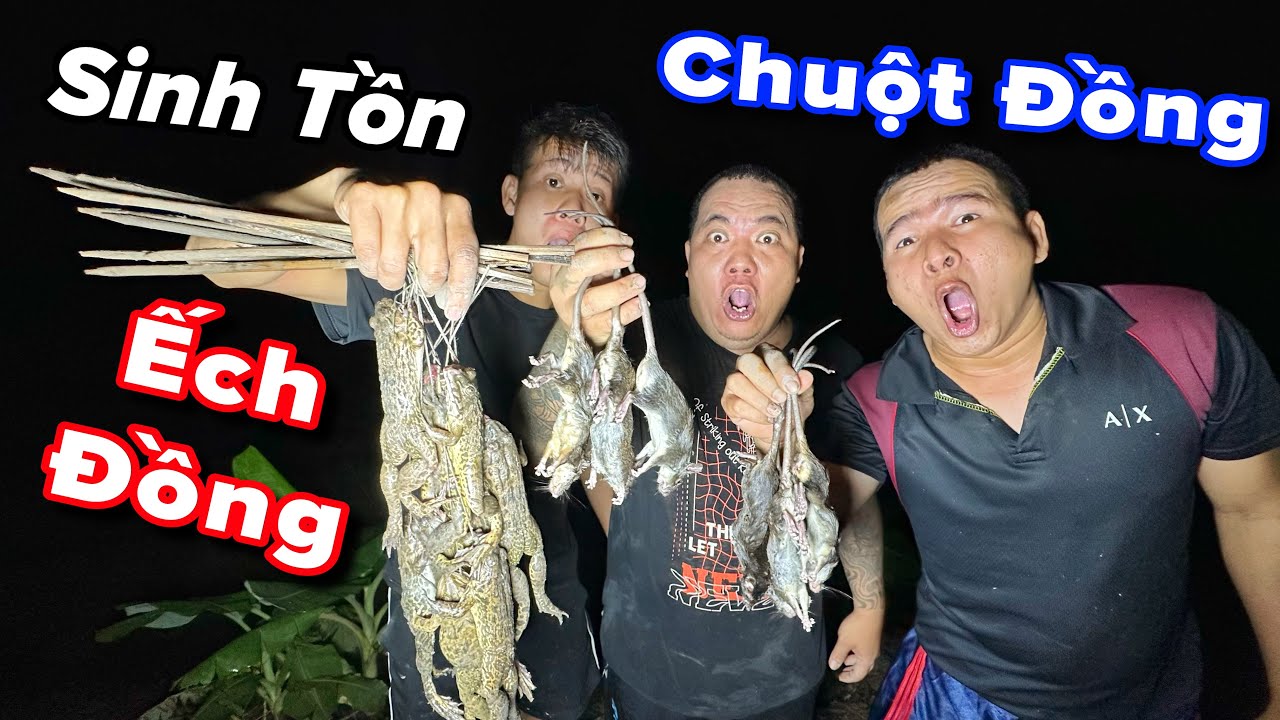 Theo chân Thánh Xàm Một Đêm Bắt chuột đồng và ếch đồng thấy mà ham | trãi nghiệm đồng quê