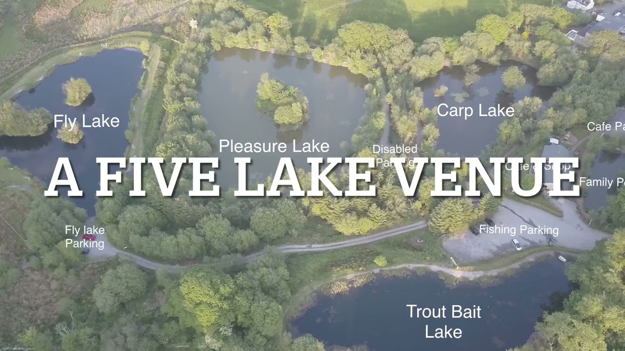 Welcome to Eisteddfa Fishery