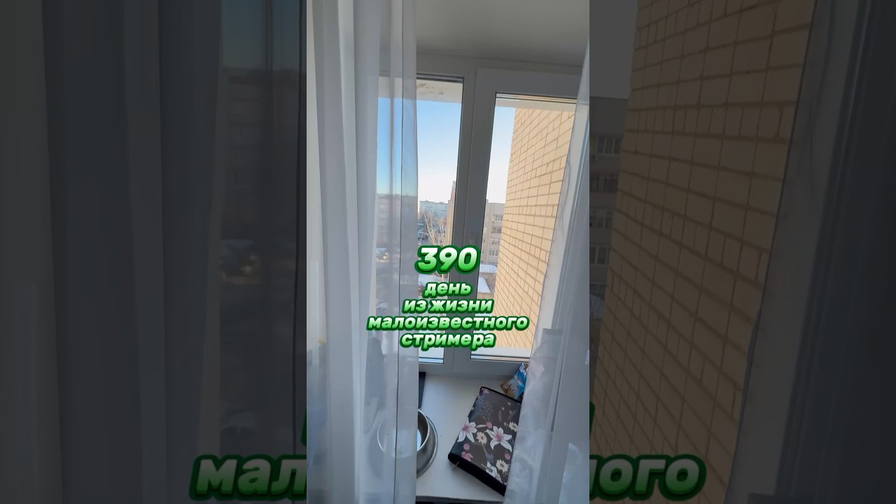390й день из жизни малоизвестного стримера #влог #twitch #vlog #влог
