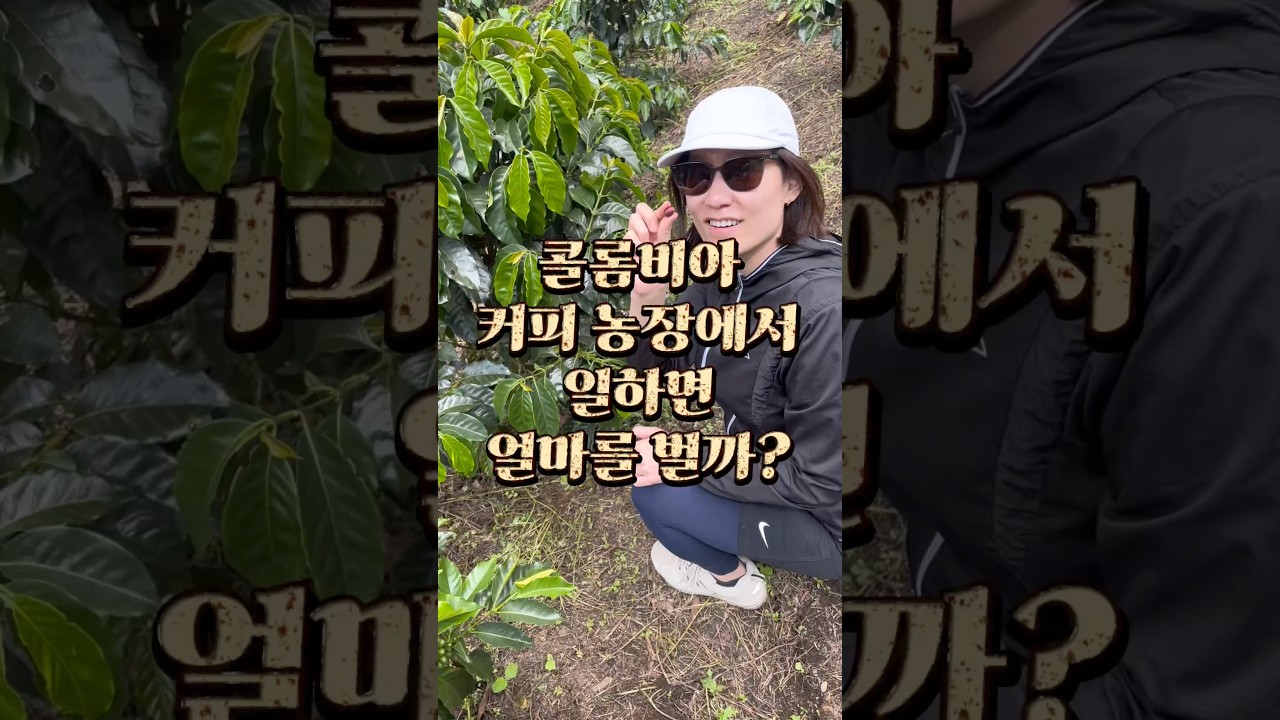 콜롬비아 커피농장 체험 후기