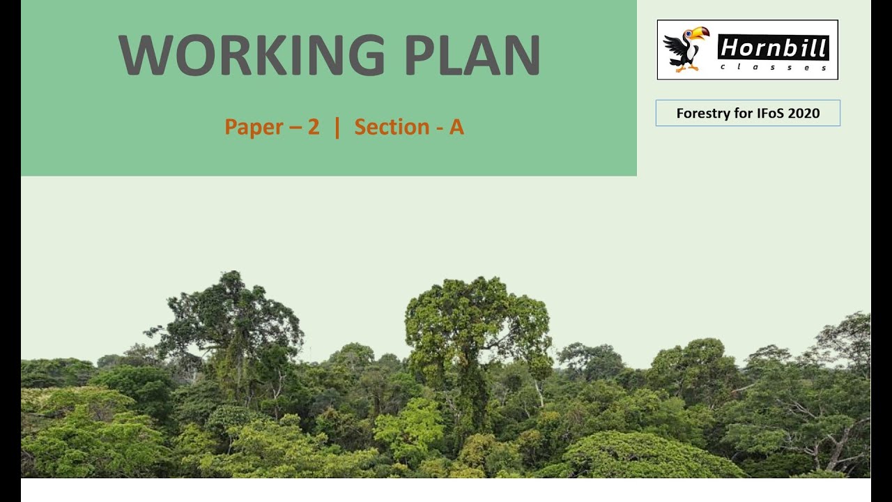 39. IFoS-2020  |  Working plan