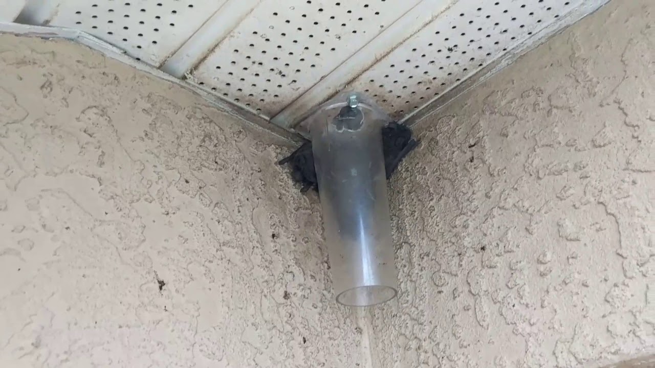 How to remove bats from soffit using bat cones - On Point Wildlife Removal