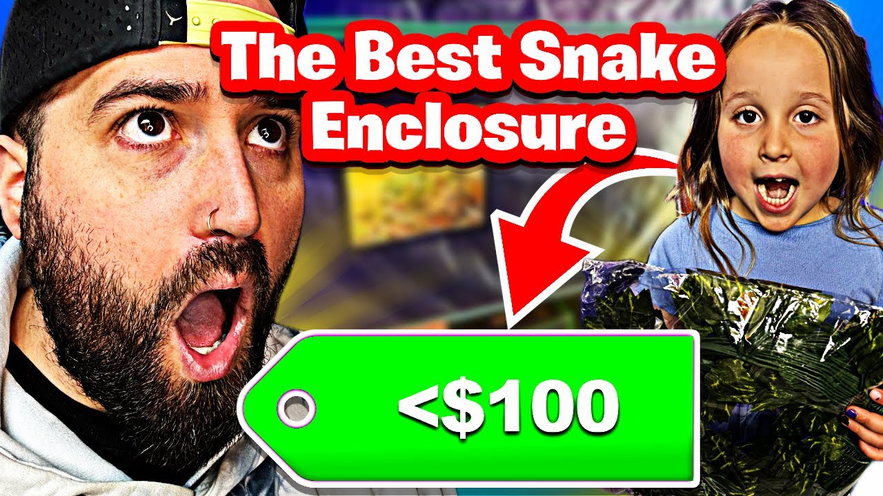 This $50 Snake Setup Will Blow Your Mind!