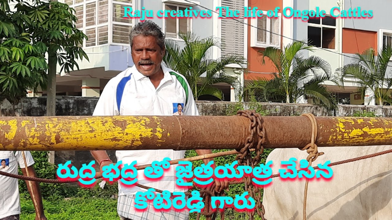 రుద్ర భద్ర తో జైత్రయాత్ర చేసిన కోటిరెడ్డి గారు ongole bulls