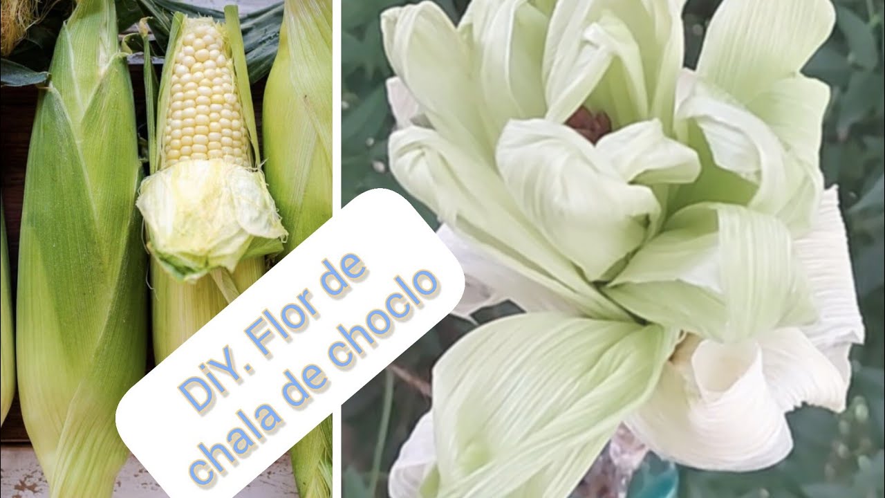 NO LO TIRES! DIY. RECICLA ♻️la chala del choclo🌽 o mazorca para hacer FLORES RÚSTICAS