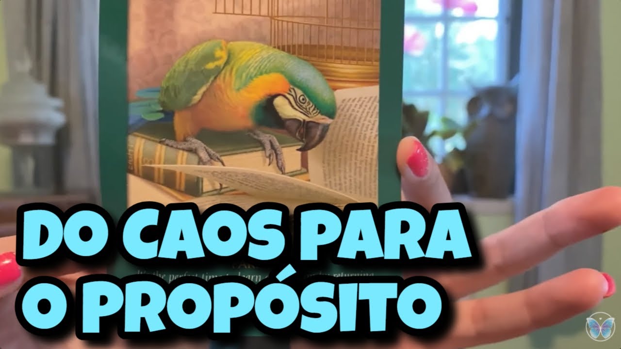 Do Caos para o Propósito 🤩💗 Leitura Tarot Oráculos
