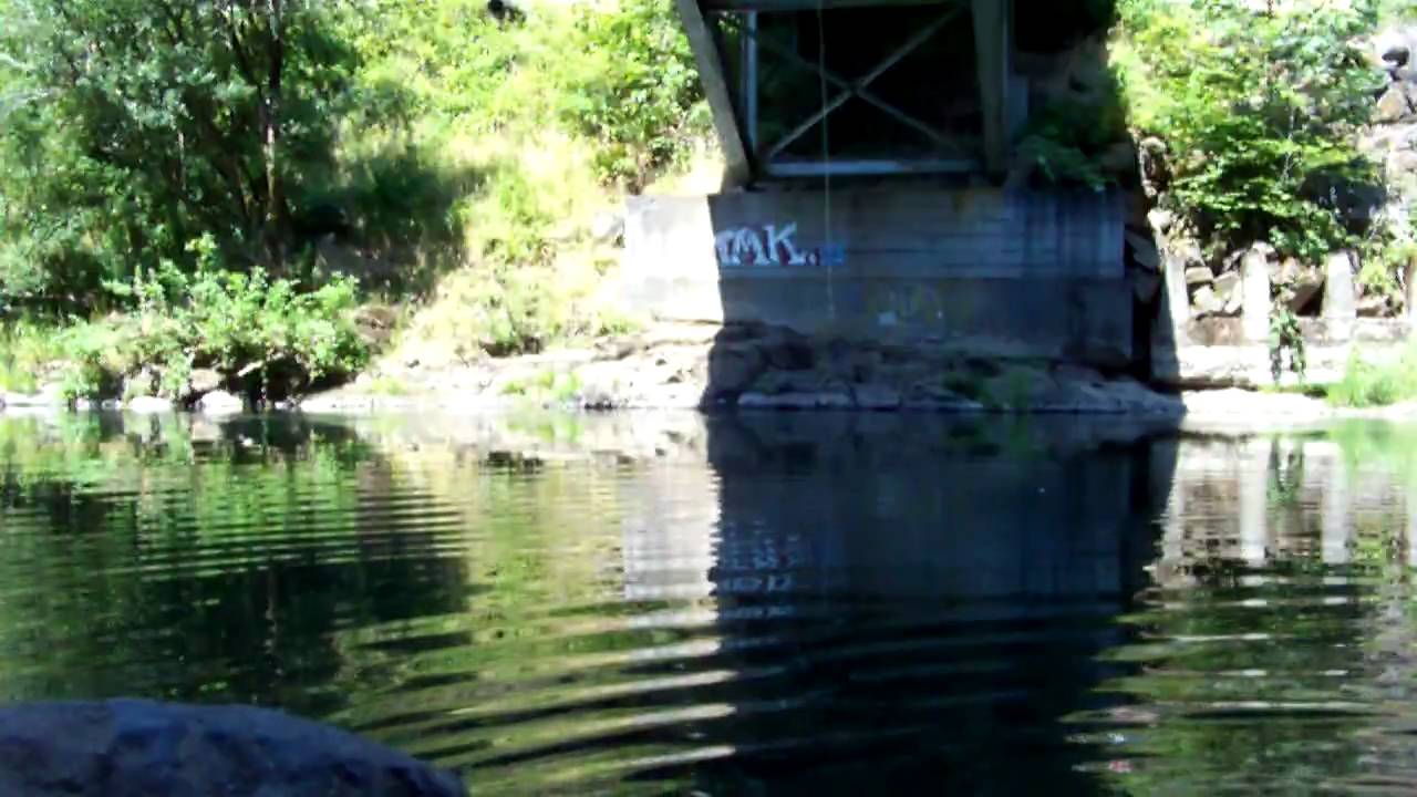Cooling off on a hot day