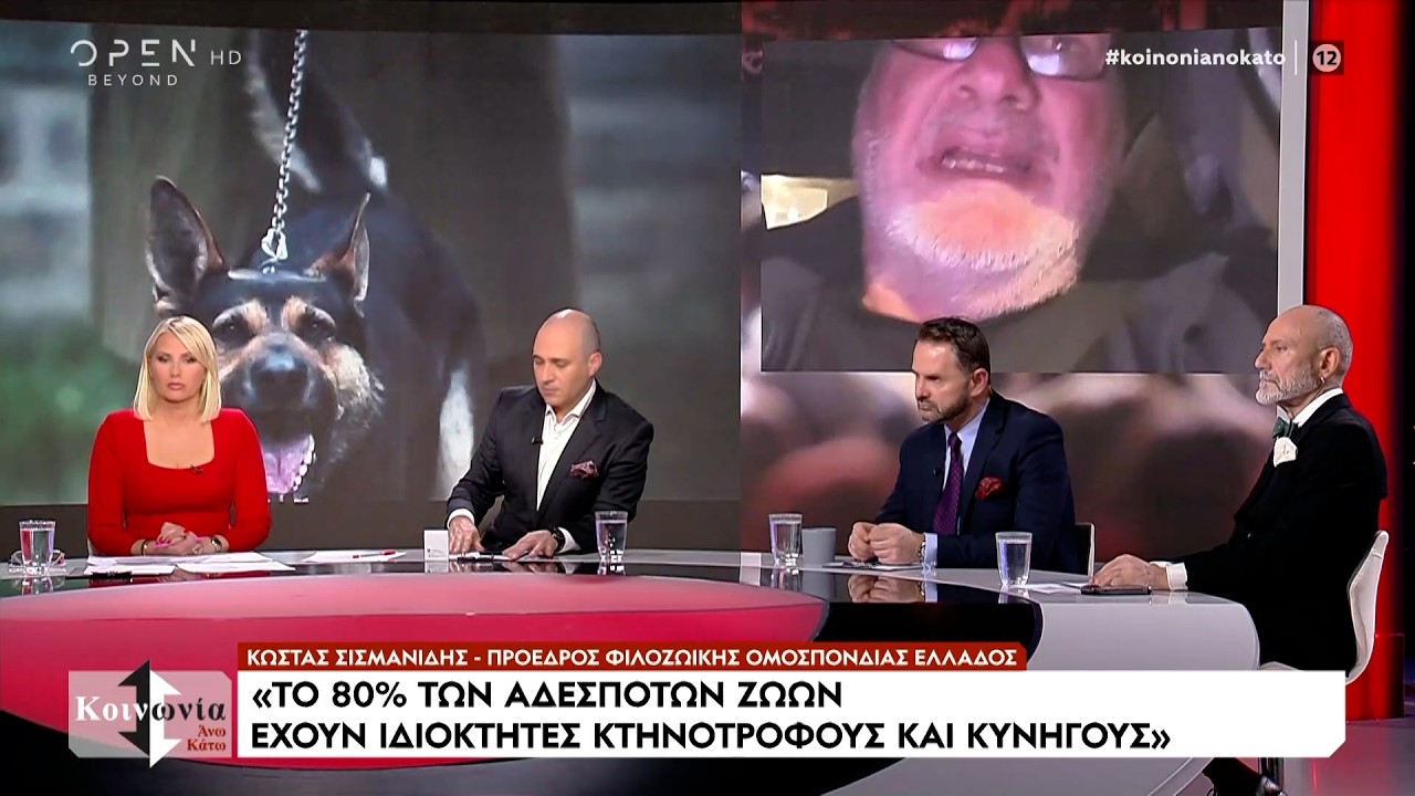 Αγέλη σκύλων επιτέθηκε σε τουρίστρια στην Πιερία - Τι λέει στην εκπομπή ο αντιδήμαρχος που συνελήφθη