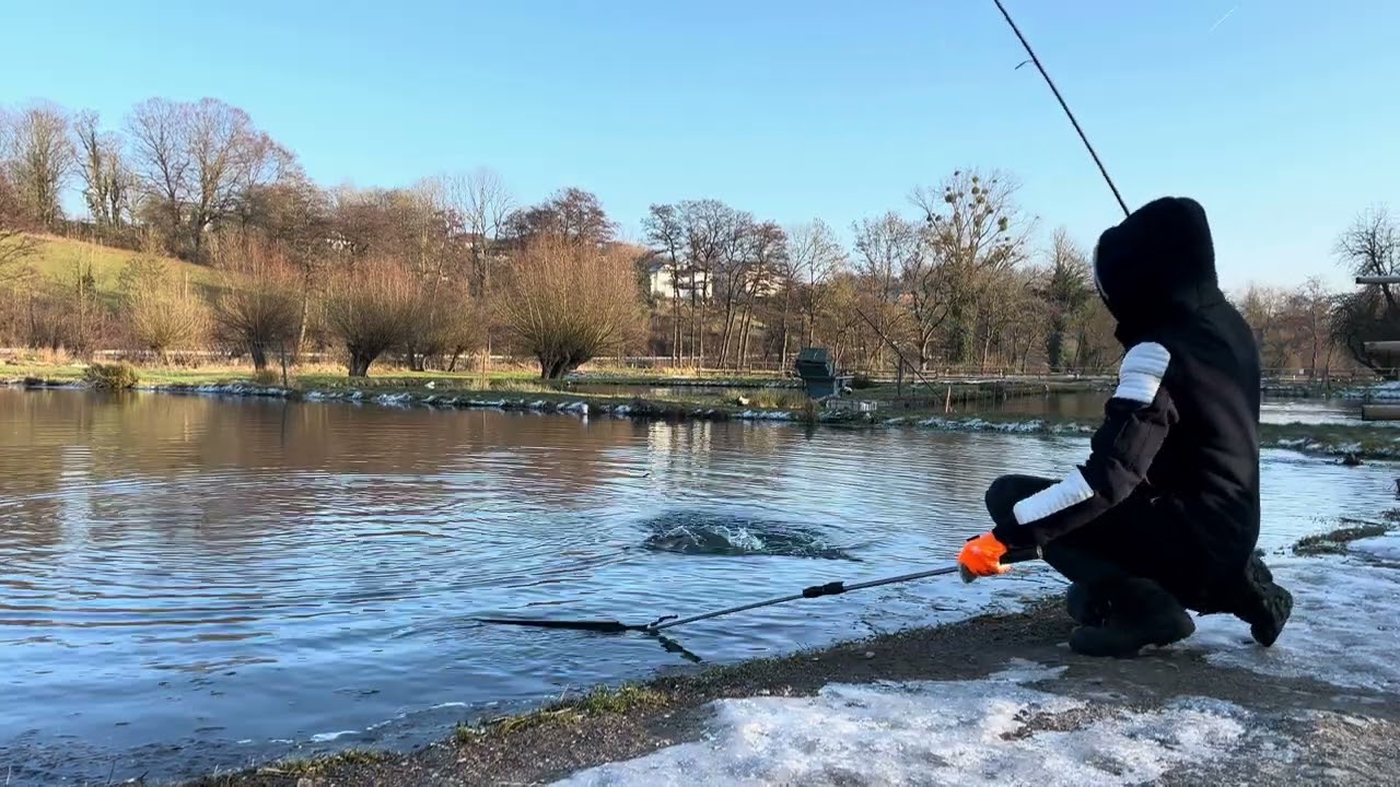 Winterlachsforelle im Wintermodus ❄️🎣Gelber Libra mit Käsegeruch – langsam geführt