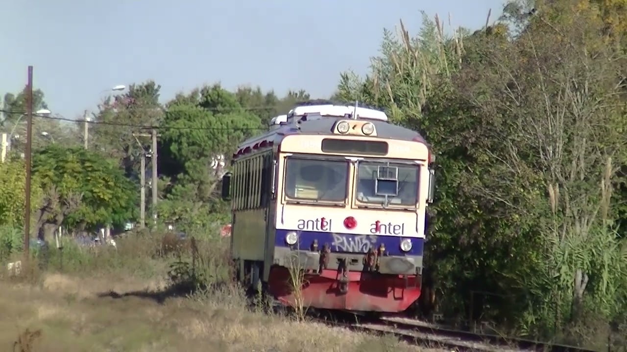 2015, 1354 partiendo de Estación Progreso