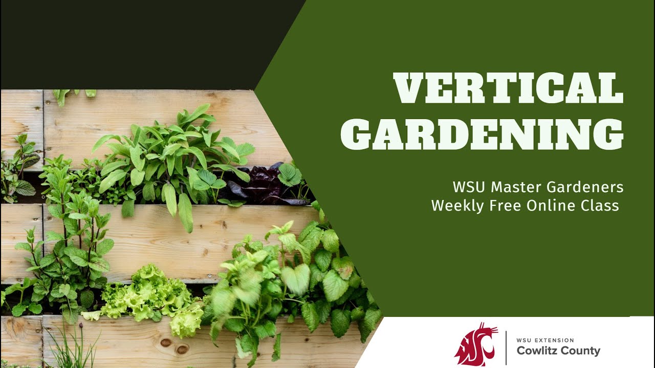 Vertical Gardening 6 17 25