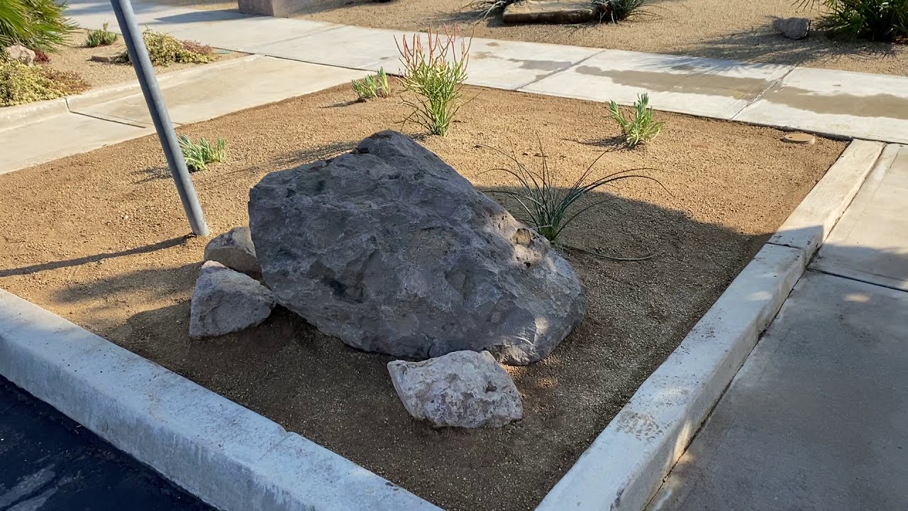 Mt. Sinai Simi Valley - Comprehensive Tour Of Plants, Rocks & DG
