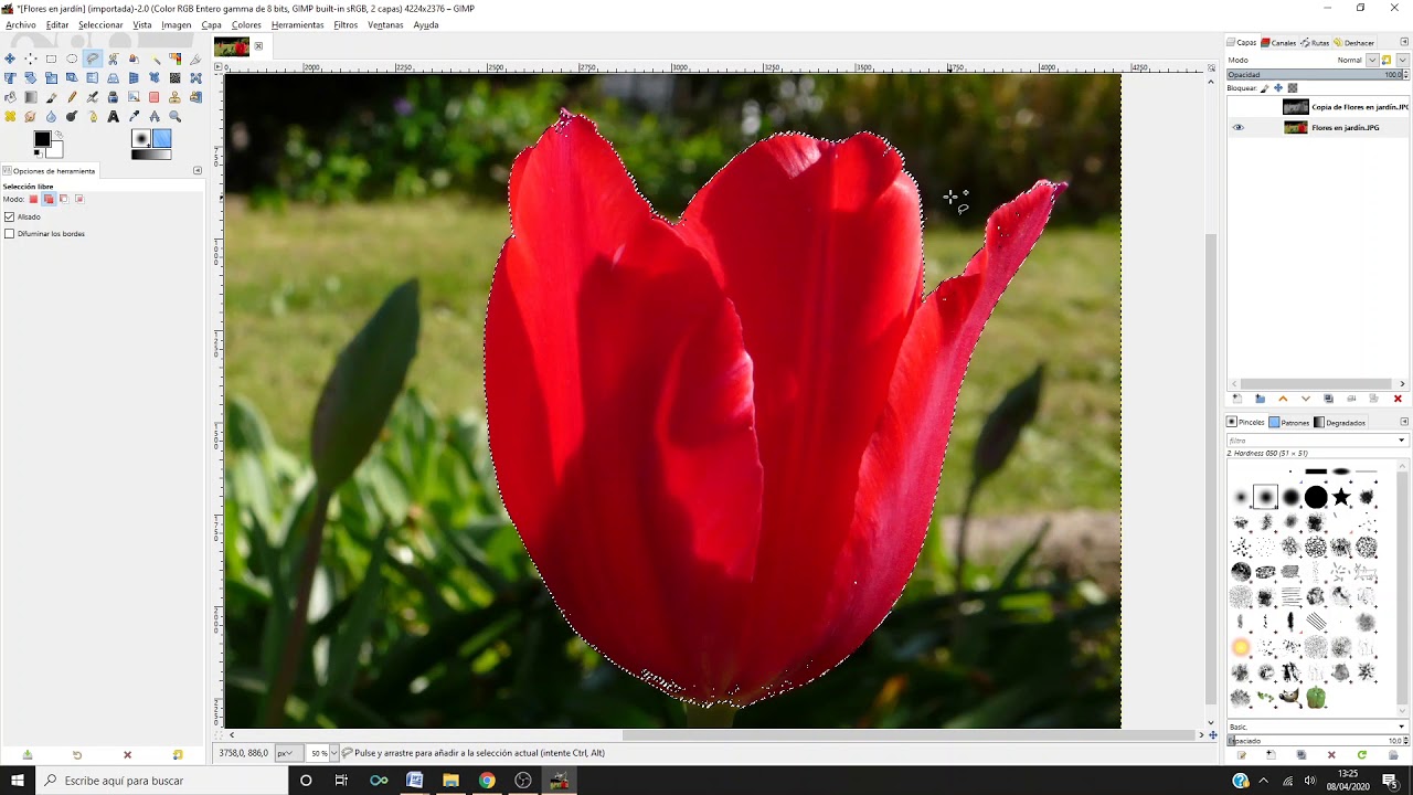 Colorear una imagen en escala de grises con GIMP