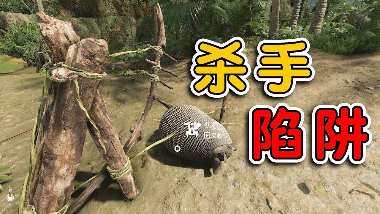 綠色地獄：我用陷阱抓到一只稀有動物，價值80000元