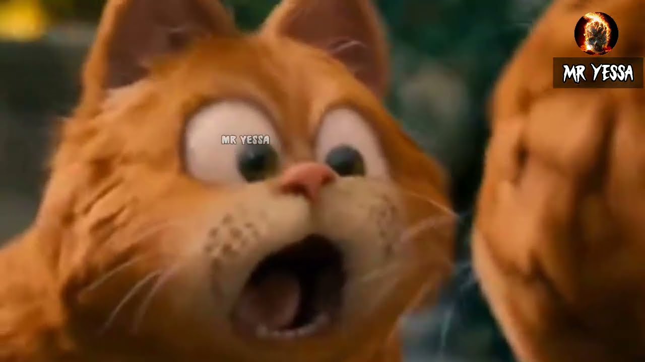 ගෙදර හුරතලේට හදන පූසා funny song ❤️‍🩹😂😂 #funnysong #garfieldcartoons #viralvideo #marriageproposals