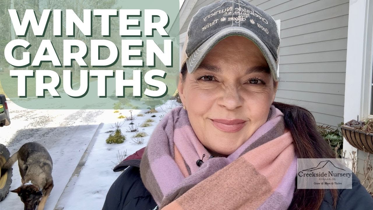 Extended Cold in the South — What to Worry About (and What Not To)