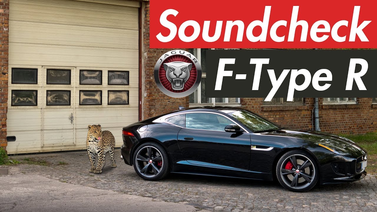 Jaguar F-Type R V8 Kompressor - Eine Raubkatze im Soundcheck!
