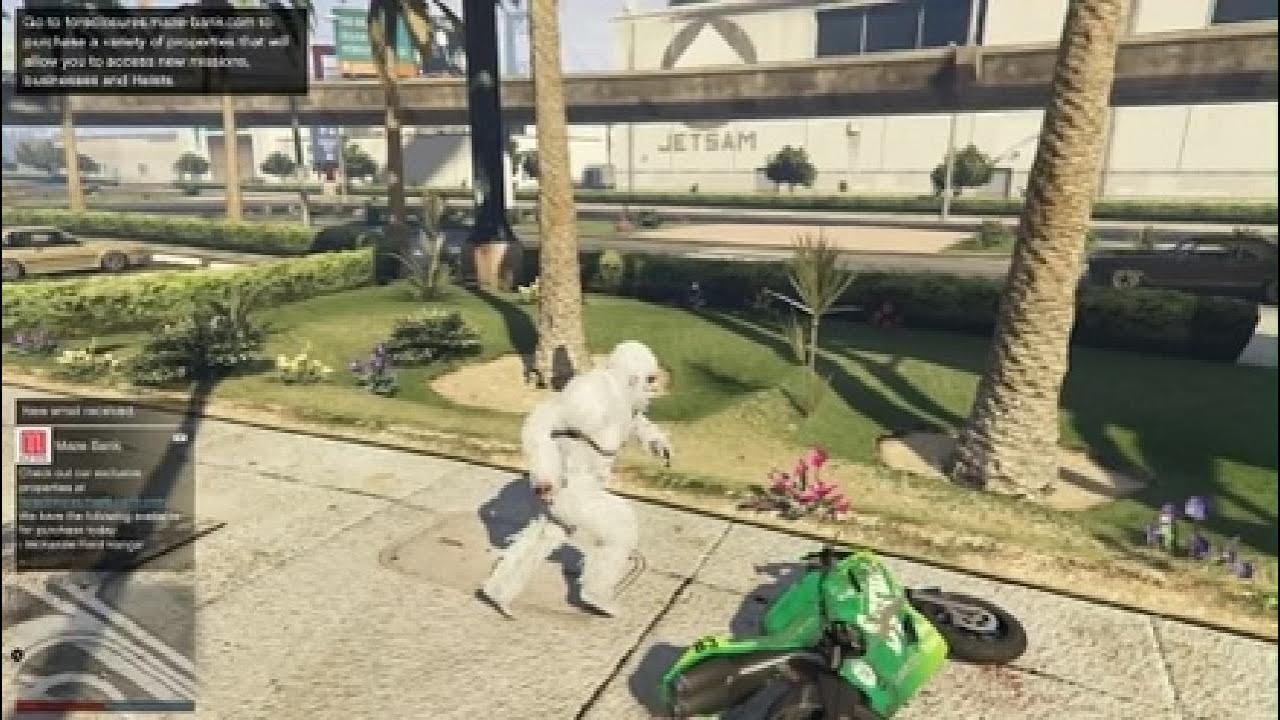 Grand Theft Auto V_20260112194309