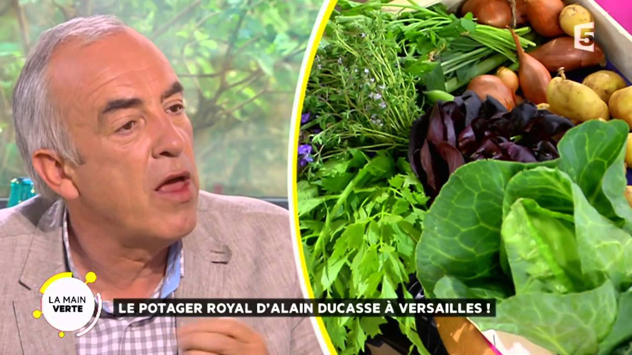 Le potager royal d'Alain Ducasse à Versailles !
