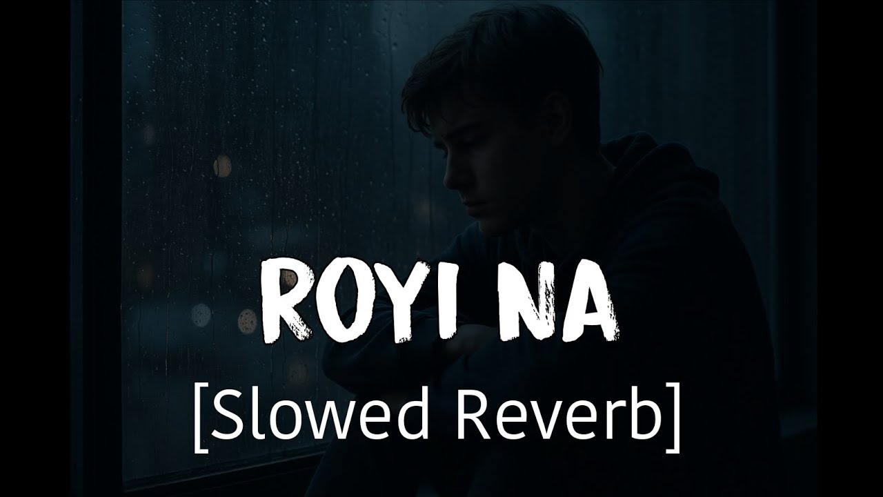 Royi Na - Slowed + Reverb | Vicky Singh | Heart Touching Version